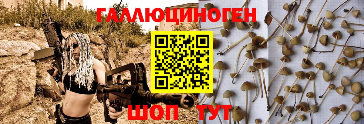 Бирск  Галлюциногенные грибы ЛСД  Вход с VPN 